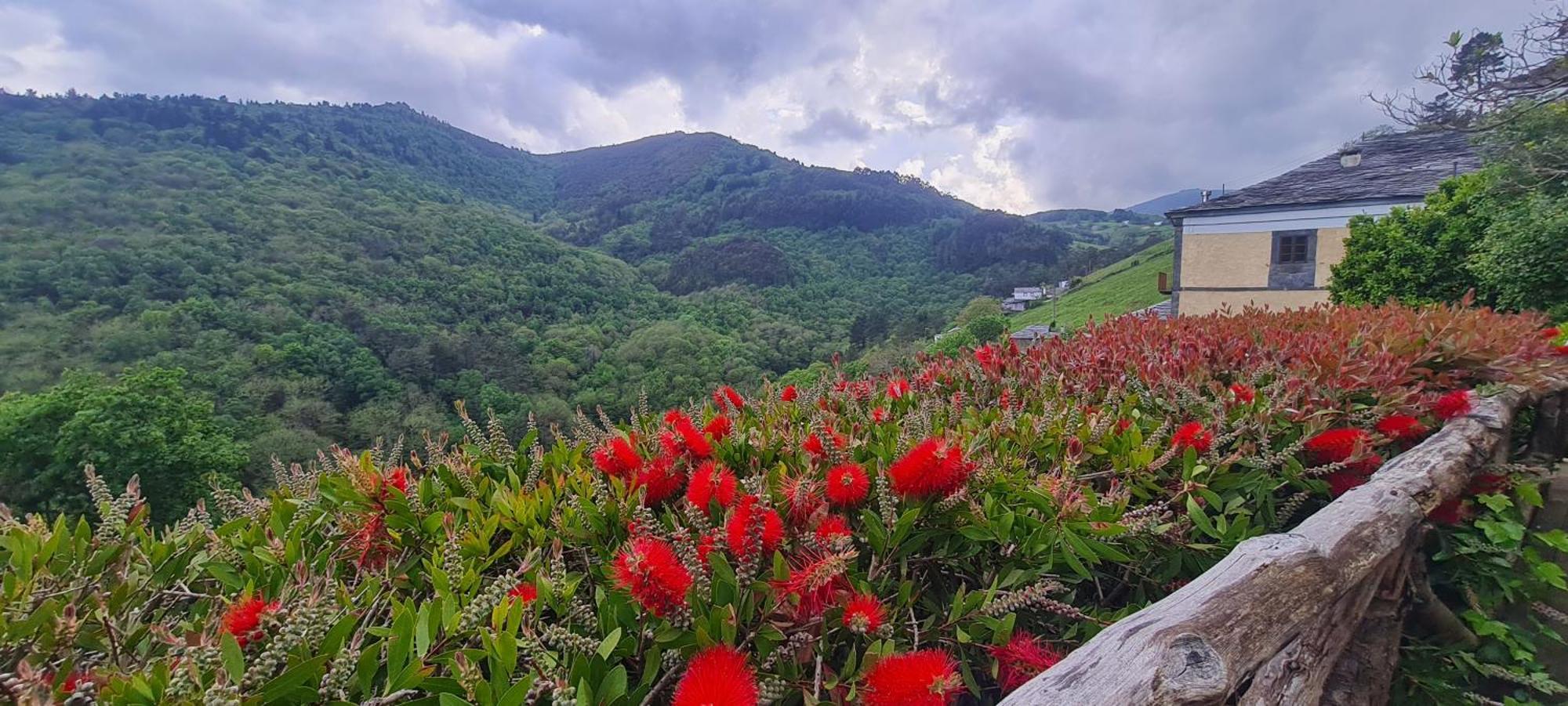 Apartamentos Rurales El Bosque De Las Vinas Боаль Экстерьер фото